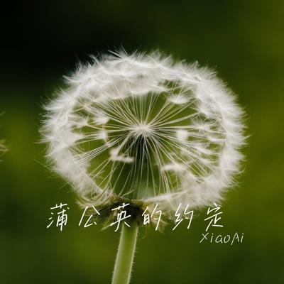 蒲公英的约定's cover