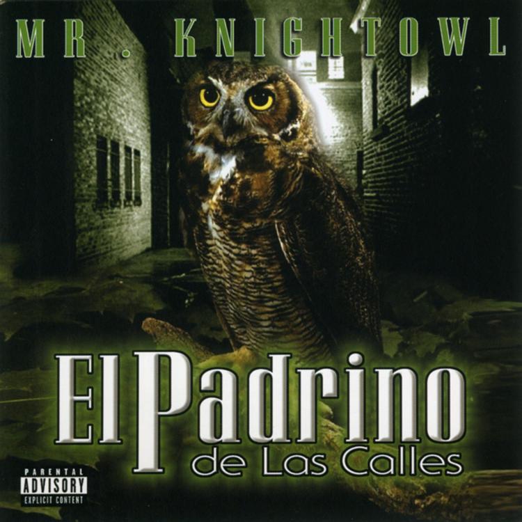 Mr Knight Owl's avatar image