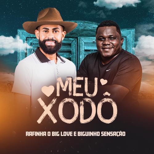 Eu Sou O Homem De Uma Mulher Só Eu Só Quero Ser Feliz Com Meu Xodó | Biguinho Sensação's cover