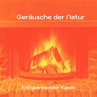 Geräusche der Natur's cover