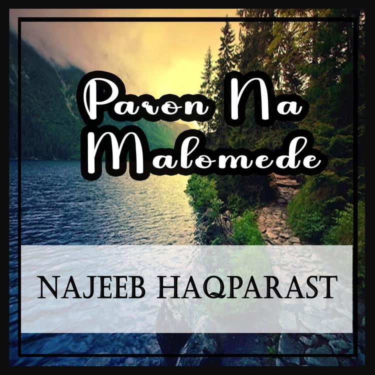 Najeeb Haqparast's avatar image