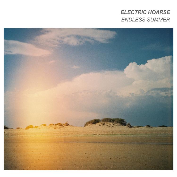 Electric Hoarse's avatar image