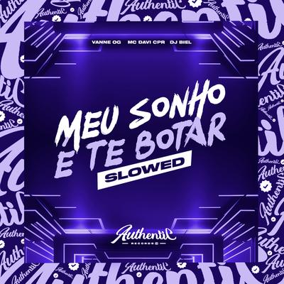 Meu Sonho É Te Botar - Slowed's cover