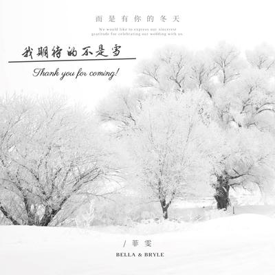 我期待的不是雪 (抖音版)'s cover