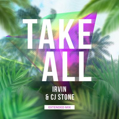 Take All (Irvin & Cj Stone Extended Mix)'s cover