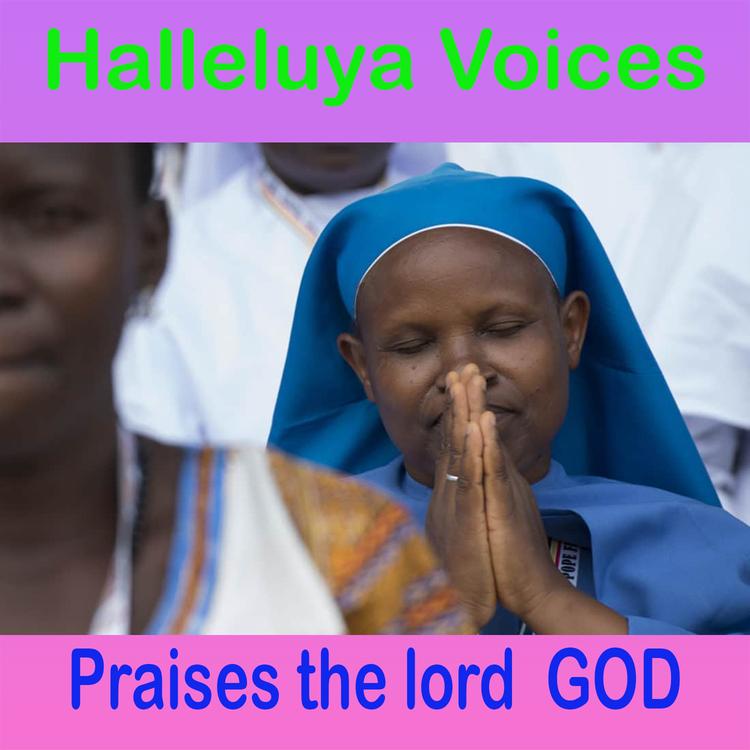 Halleluya Voices's avatar image