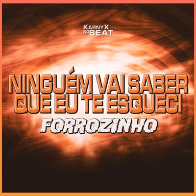 Ninguém Vai Saber Que Te Esqueci (Forrozinho)'s cover