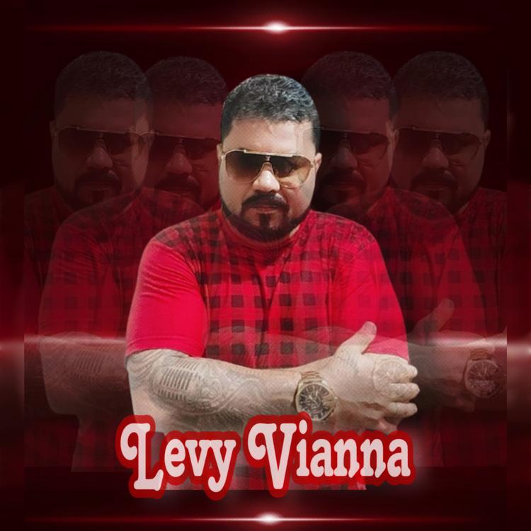 Levy Viana's avatar image