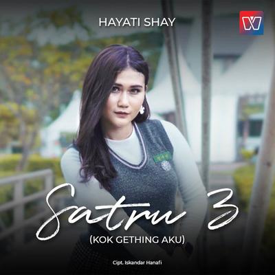 Satru 3's cover