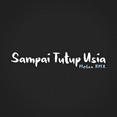 Sampai Tutup Usia (Remix)'s cover