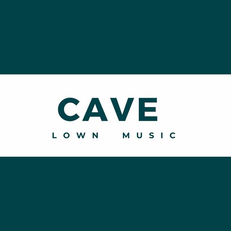 Lown Music's avatar image