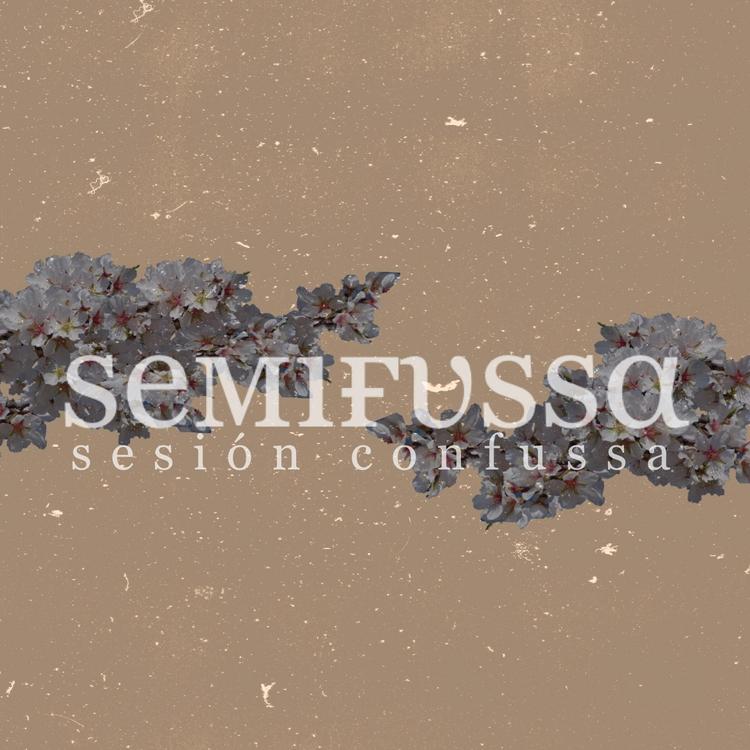 Semifussa's avatar image