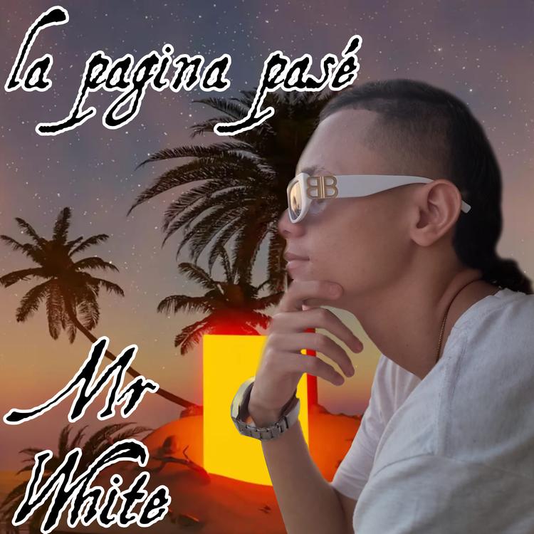 Mr White's avatar image