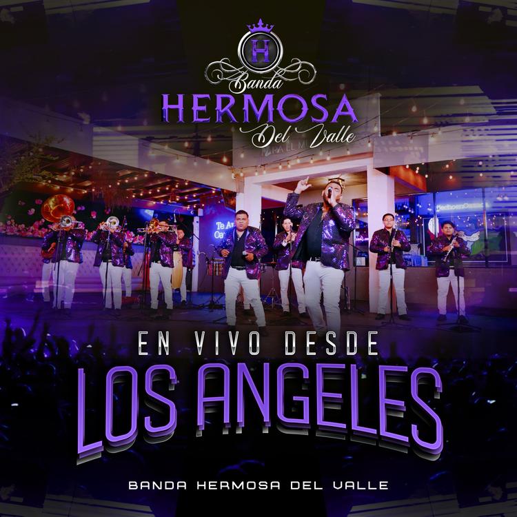 Banda Hermosa Del Valle's avatar image