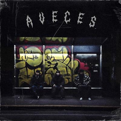 Aveces's cover