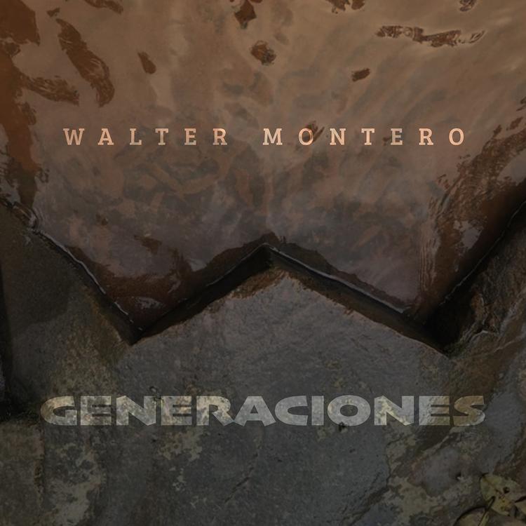 Walter Montero's avatar image