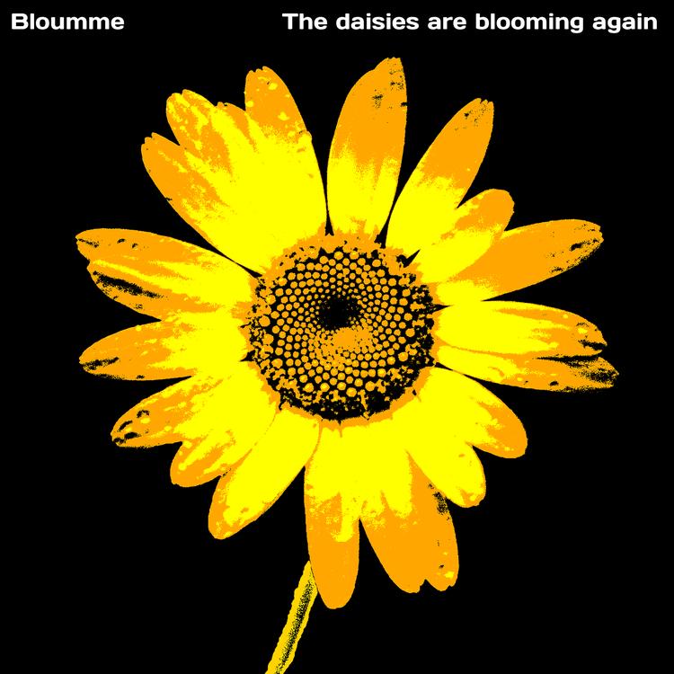 Bloumme's avatar image