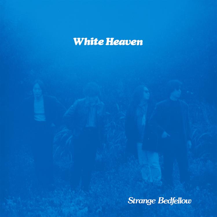 White Heaven's avatar image