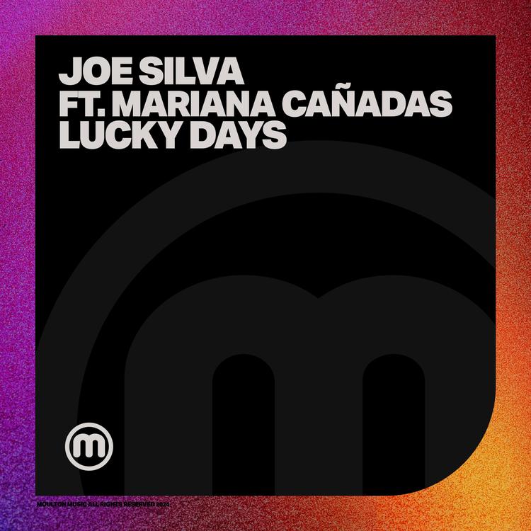 Joe Silva's avatar image