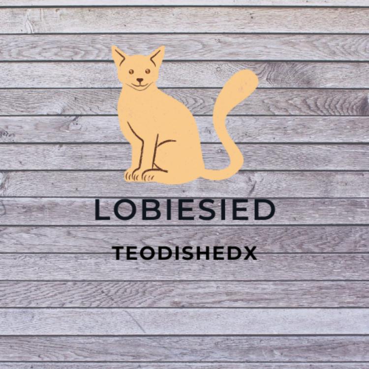 Teodishedx's avatar image