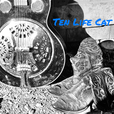 Ten Life Cat's cover