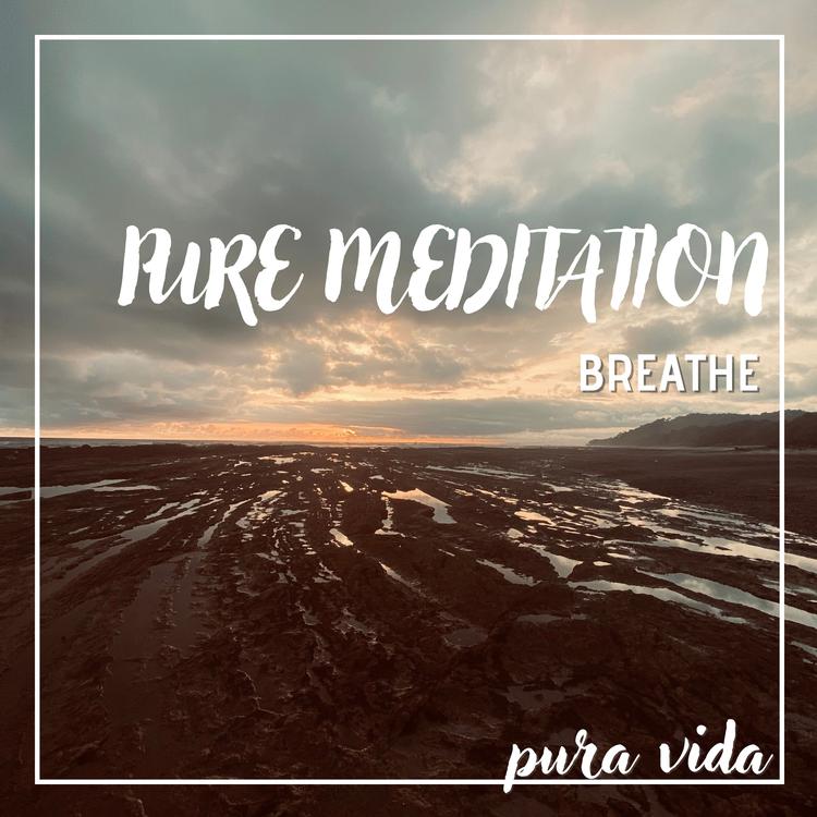 Pure Meditation's avatar image