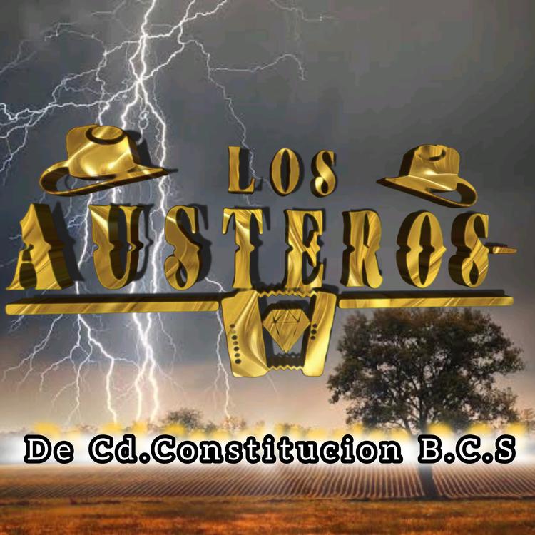 Los Austeros's avatar image