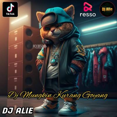 dj mungkin kurang goyang INS's cover