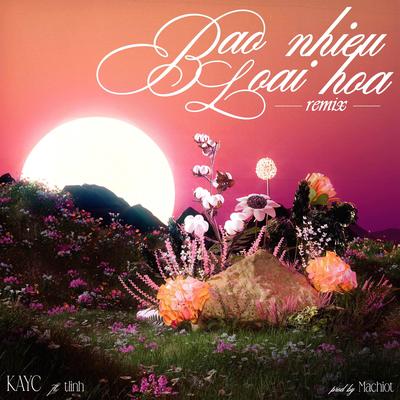 Bao Nhiêu Loài Hoa (Remix)'s cover