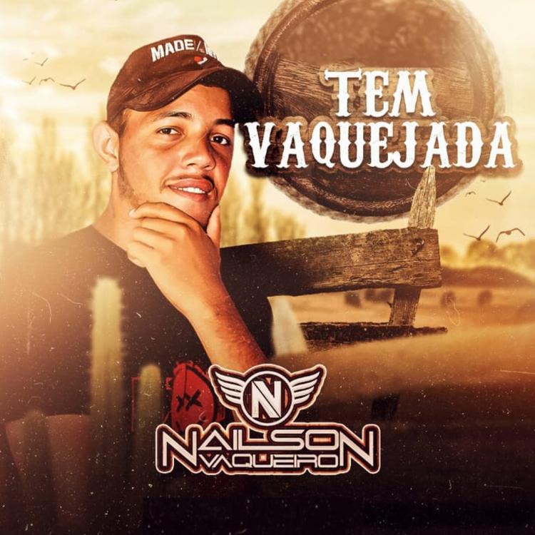 Nailson Vaqueiro's avatar image