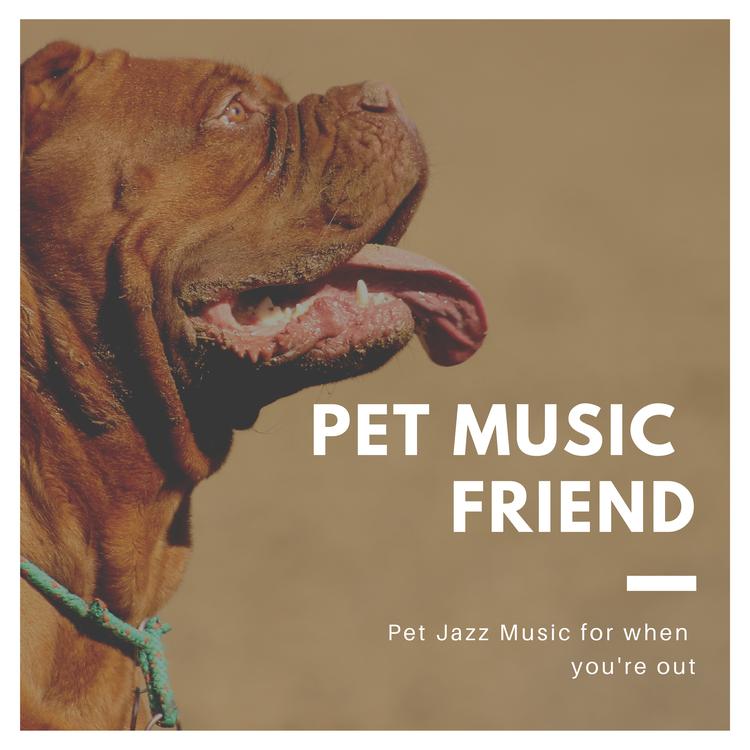 Pet Music Friend's avatar image