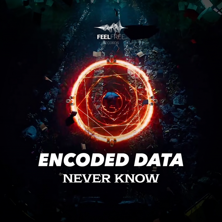 Encoded Data's avatar image