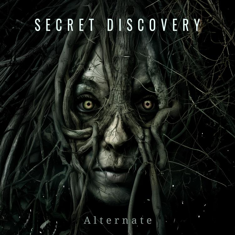 Secret Discovery's avatar image