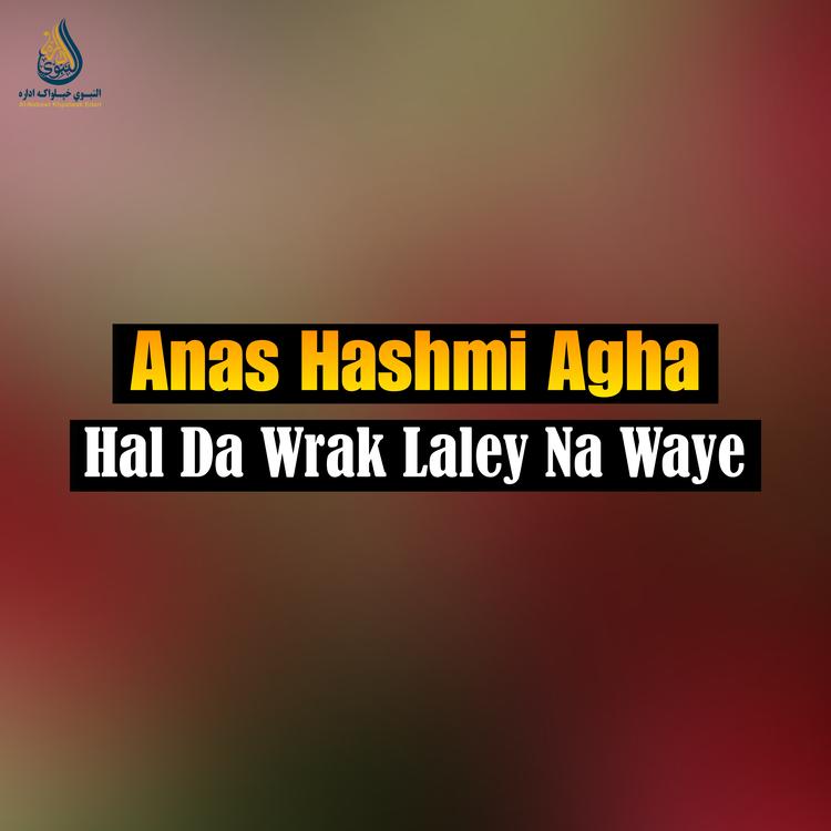 Anas Hashmi Agha's avatar image