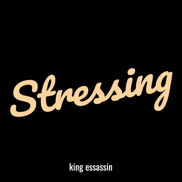 King essassin's avatar image