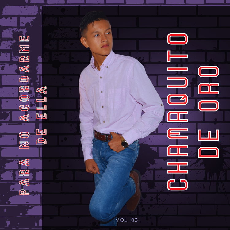Chamaquito de Oro's avatar image