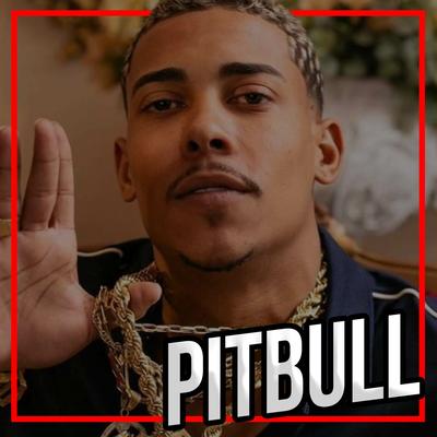 É de Pitbull para Pitbull By Mc Souza's cover