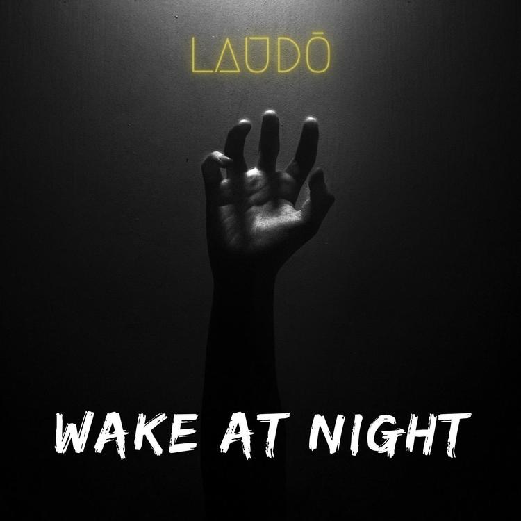 Laudo's avatar image