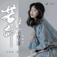 小西瓜一枚's avatar cover