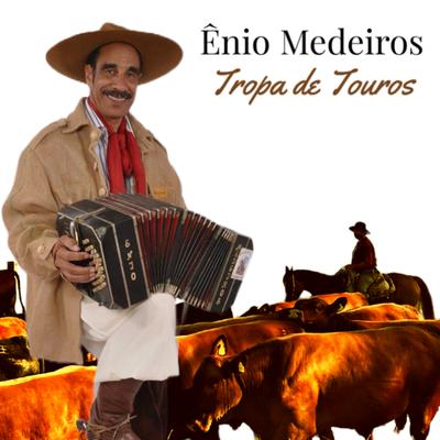 Tropa de Touros By Ênio Medeiros's cover