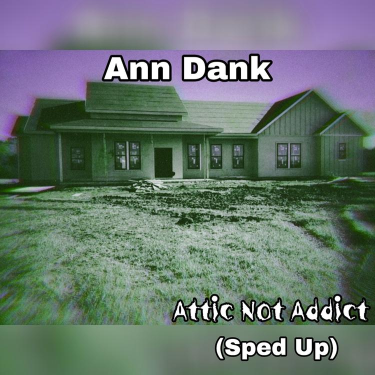 Ann Dank's avatar image