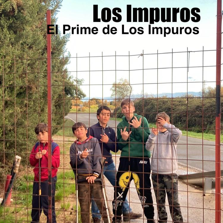 Los Impuros's avatar image