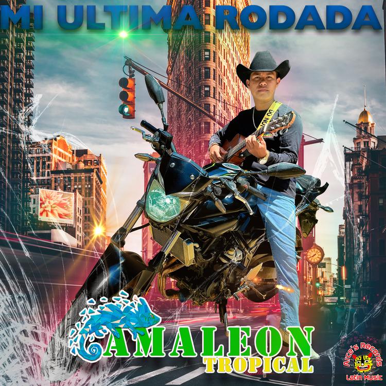 Grupo El Camaleon Tropical's avatar image