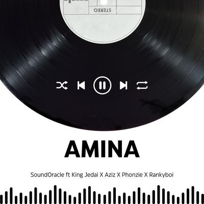 Amina's cover