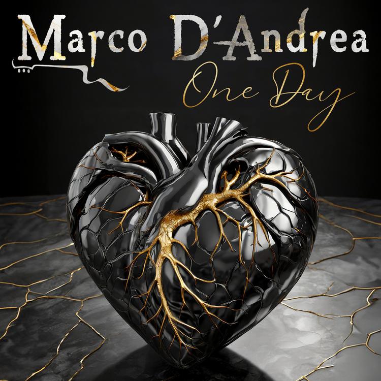 Marco D'andrea's avatar image