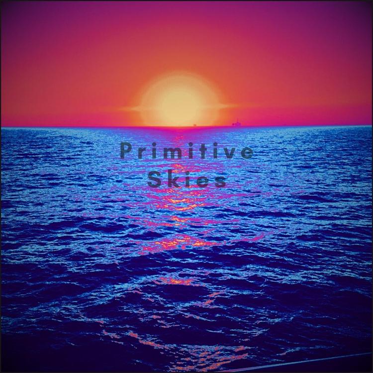 Primitive Skies's avatar image