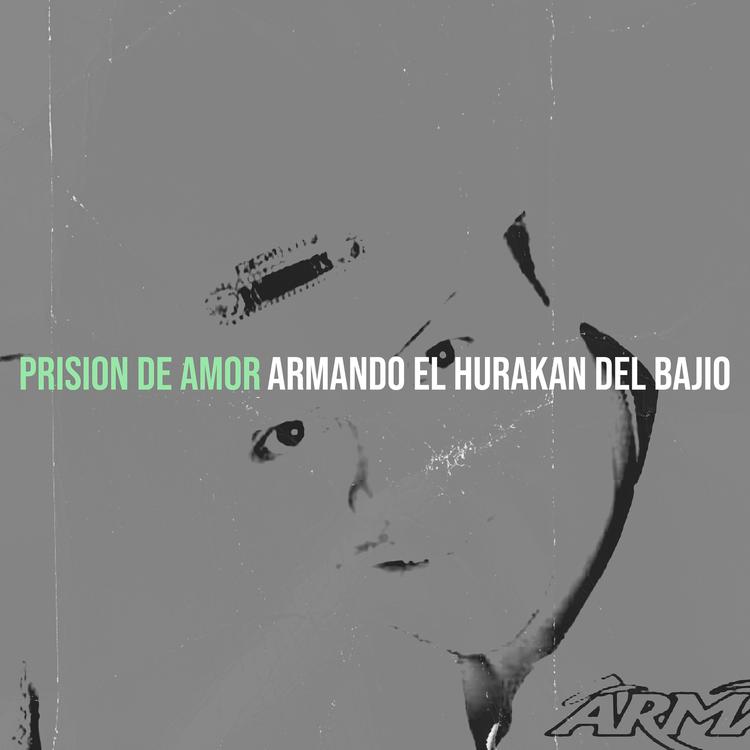 ARMANDO EL HURAKAN DEL BAJIO's avatar image