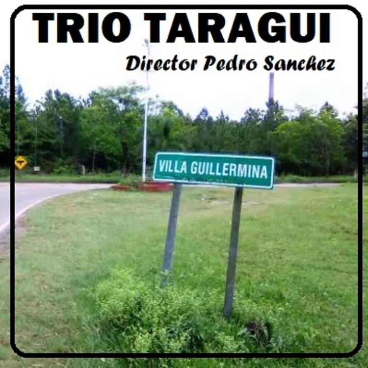 Taragüí Trío's avatar image