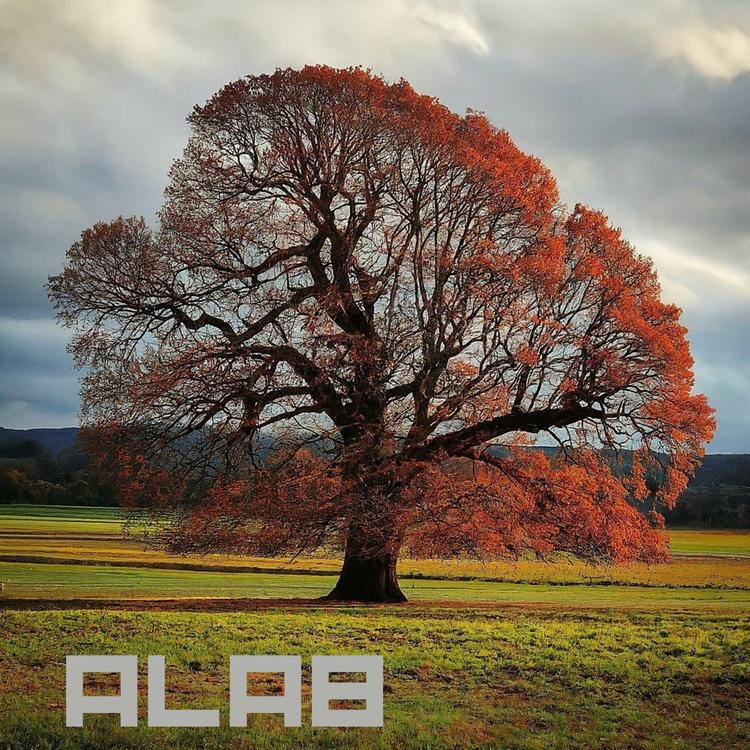 ALAB's avatar image