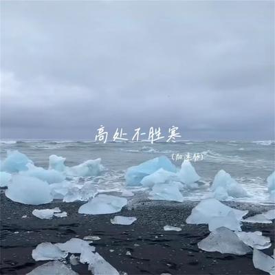 高处不胜寒 (加速版)'s cover